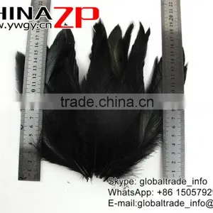 Leading Supplier CHINAZP Factory High Quality Black Chicken Dyed Rooster Schlappen Feathers thumbnail-5