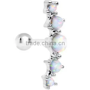 Surgical Stainless Steel Jewelry Tragus Piercing Earring Plugs Stud Ear Cartilage Earrings Jewelry Fashion Earrings thumbnail-1
