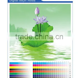 Inkjet Media PET Film/inkjet Media/PP Paper Matte/inkjet Advertisement thumbnail-2
