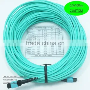 12 Core MTP Female-MTP Female OM3 Fiber Optic Patch Cord thumbnail-2