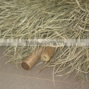 CHEAPEST PRICE !!!! THATCH SEAGRASS UMBRELLA FROM VIETNAM_GIA GIA NGUYEN FACTORY thumbnail-1