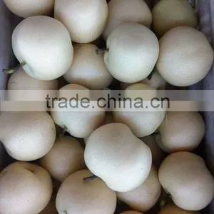 China Seasonal Fruit Asian Pear thumbnail-3