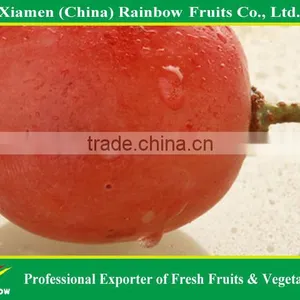 Fresh Chinese Table Grape Red Globe Grape Red Grape to India Asia Market thumbnail-2
