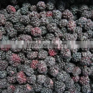 Frozen Black Berry thumbnail-1