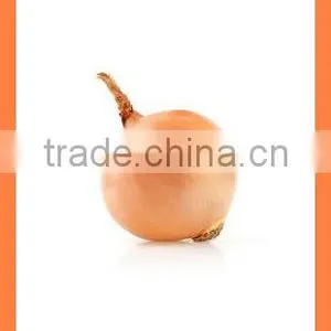 Best Quality Fresh Products Red/yellow Onion From China thumbnail-4