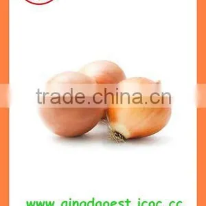 Fresh New Crop Yellow Onion PRODUCTS From China thumbnail-6