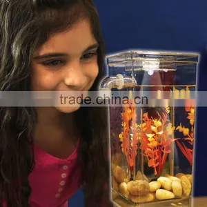 Kawachi New Design Fun Fish Cleaning Tank Fish Aquarium thumbnail-3