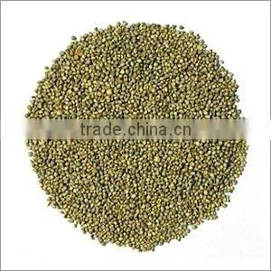 Green Millet thumbnail-1