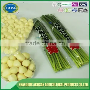 2016 Garlic Sprout,garlic Sprout Price thumbnail-4