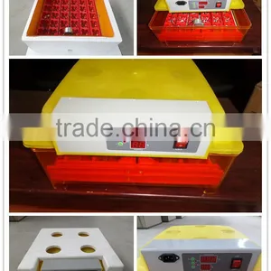 Tongda Automatic Quail Egg Mini Incubator 144 Quail Eggs With Egg Candler for Free thumbnail-1