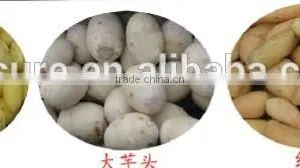 Home Use Potato Peeling Machine thumbnail-2