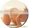 PP Spun Bonded Non Woven Hydrophilic Fabric thumbnail-1