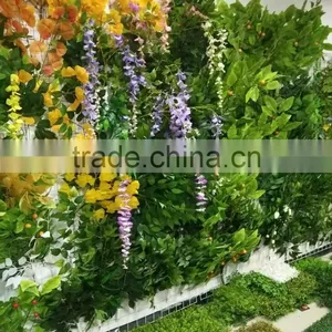 Green Decorative Plants thumbnail-5