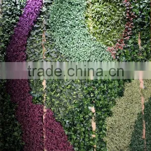 Artificial Grass Wall China Factory (5X5.5m) Pattern Plant Wall thumbnail-3