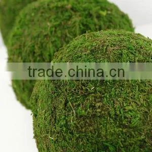 Handicraft Moss Ball thumbnail-3