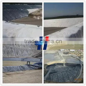 Price Hdpe Geomembrane Landfill Liners thumbnail-1