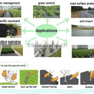PP Ground Cover,weed Barrier Fabrics, Weed Mat in Strawberry Garden thumbnail-5