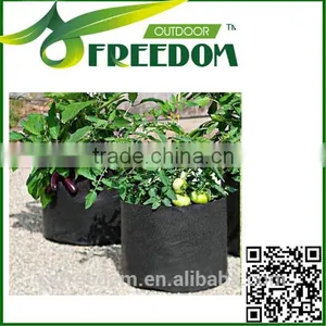 Plant Pot thumbnail-6