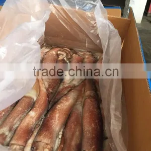 Frozen China Origin Todarodes Pacificus Squid Japanese Flying W/R thumbnail-1