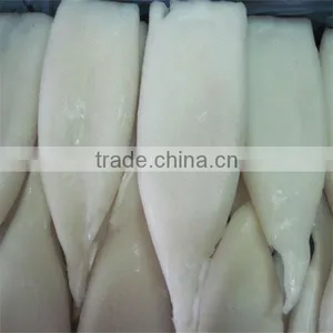 Best and New Squid Tube Importer thumbnail-1