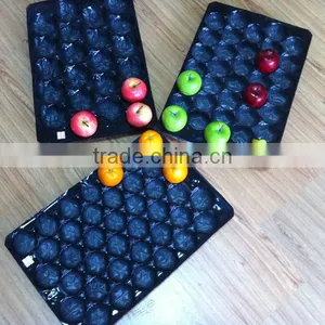 Food Grade Recycle PP Plastic Tomato Packing Tray Liners thumbnail-5