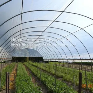 Plastic Greenhouse Cover thumbnail-1