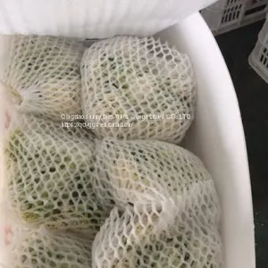 Fresh Cauliflower thumbnail-3