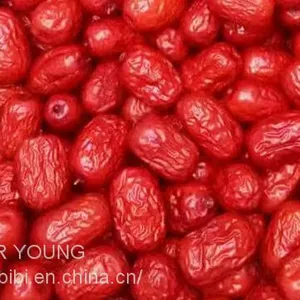 Red Date thumbnail-5