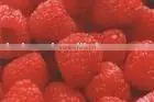 Raspberry Extract thumbnail-1