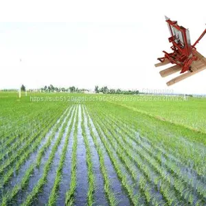High Quality Factory Direct Sale Planting Machine for Farm Use thumbnail-2
