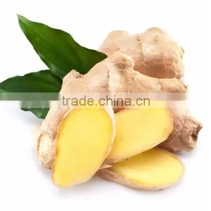 OEM/ODM Ginger Essential Oil, 100% Pure and Natural thumbnail-2