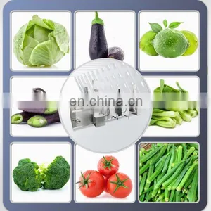 Can be Customized Vegetable Washing and Drying Machine Fruit and Vegetable Processing Line thumbnail-4