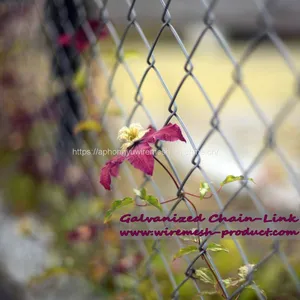 Galvanized Chain Link Fence Chainlink Fence Chain-link Chainlinkfencing Securityfence Commercialfecne Industrialfence Residentialfence thumbnail-4