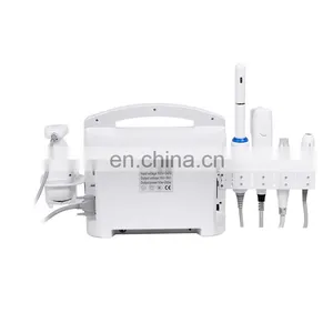 Gold RF Microneedle Facial Beauty Equipments Vaginal Tightening 7d Body Liposonic Slimming V Max Face Lifting Machine thumbnail-4