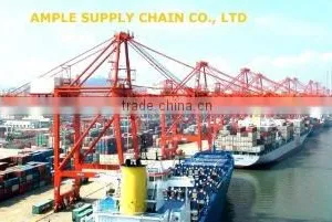 Shenzhen Ample Supply Chain Co., Ltd. company overview - view 3 thumbnail