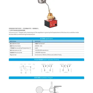 SM225/10 Liquid Level Switch thumbnail-3