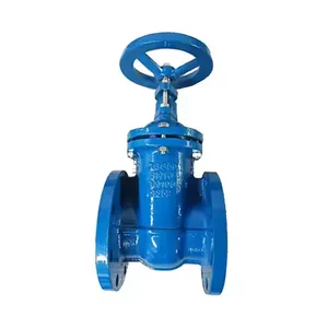 DIN Gate Valve OS&Y Rising Stem Cast Iron Ductile Iron Gate Valve With Epoxy Coated Ggg50 GG25 thumbnail-5