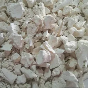 Animal Ashes Used for Bone China thumbnail-3