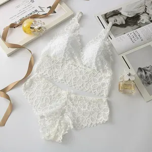 French Wireless Lace Lingerie Set, Sexy See-through Lace Bra and Panty, Body Shaping Sculpting Underwear for Women thumbnail-5