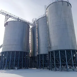 800T Customized Galvanized Steel Feed Silo for Poultry Farm Animal Feed Storage System thumbnail-4