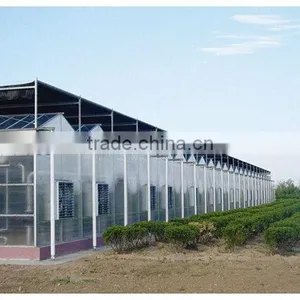 Polycarbonate Sheet Greenhouse thumbnail-1