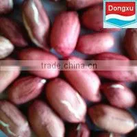 Red Skin Peanuts thumbnail-1