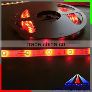 Two Color Whtie Red SMD 2835 LED Strip Light thumbnail-6