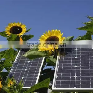 Bestsun 2013 5KW Top Sale,No MOQ Solar Charger Company thumbnail-3