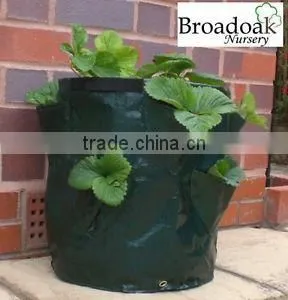 PP/PE Woven Round Garden Herb Planter Bags With Pockets,Herb Planting Grow Bag,Garden Herb Grow Bag thumbnail-2