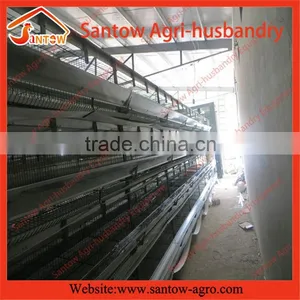 Stable Steel Structure Professional Chicken Egg Layer Cage Pakistan Poultry Farm thumbnail-5