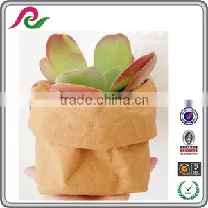 Recyclable Washable Strong Brown Kraft Paper Bag /Storage Bag/Planting Bag thumbnail-1