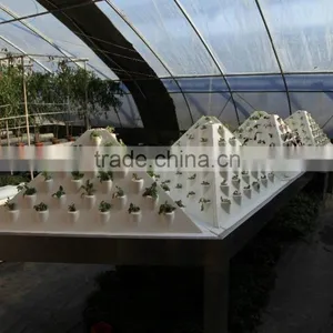 Venlo Garden Greenhouse for Mushroom thumbnail-6