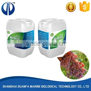Promotional Top Quality Grape Fertilizer thumbnail-6