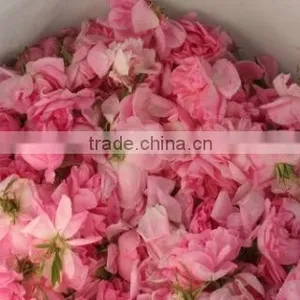 100% Pure ROSE OIL thumbnail-1